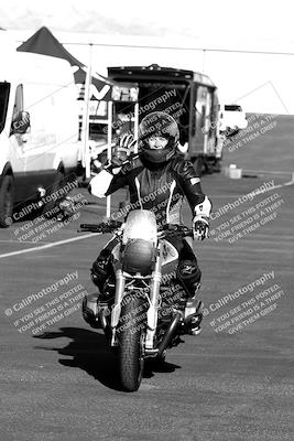 media/Mar-13-2022-SoCal Trackdays (Sun) [[112cf61d7e]]/Around the Pits/